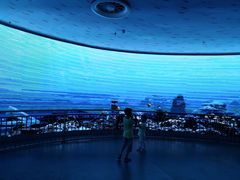 -芜湖新华联大白鲸海洋公园