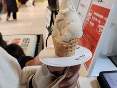 -野人先生现做冰淇淋(北京环宇荟店)