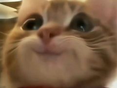 -多宾韩国料理(学衡路店)