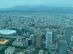 -欣叶食艺轩