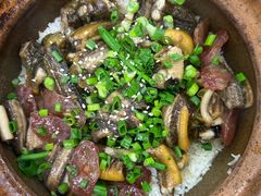 -红星光发煲仔饭(大石街店)