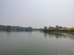 -东郊湿地公园