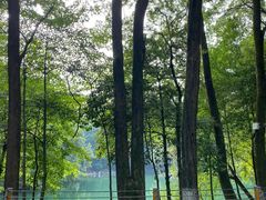 -缙云山景区