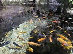 -太平洋海底世界