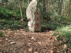 -上海佘山国家森林公园天马山园