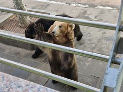 -西霞口神雕山野生动物世界