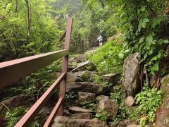 -王顺山国家森林公园