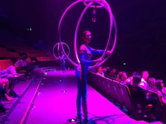 -珠海横琴长隆《卡卡虎奇遇记》