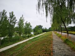 -洨河生态公园
