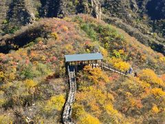 -大岭沟猕猴桃谷风景区