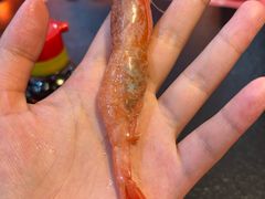 -大江户日本料理(吕厝店)