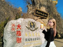 -大槐树寻根祭祖园