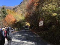 -叠溪松坪沟景区