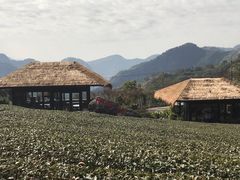 -优游吧斯邹族文化部落