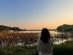 -金鸡湖桃花岛