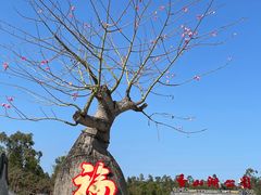 -香山湖公园