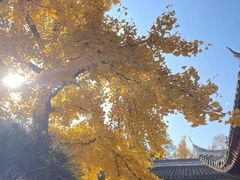 -龙华素斋(龙华路店)