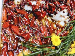 头牌菜—麻辣水煮鱼-天堂鸟水煮鱼(经南三路店)