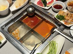 -海底捞火锅(吾悦广场店)