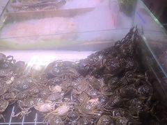 -聚盛源蒸汽海鲜火锅烤肉自助(巨川金海岸购物广场店)