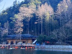 -楠溪江石桅岩