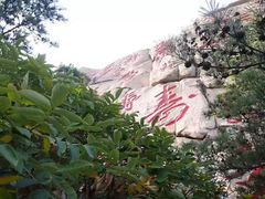 -崂山仰口游览区