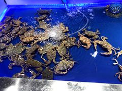 -SEA西雅图海鲜自助餐厅(正义店)