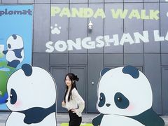 -东莞松山湖万象汇