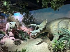 -国家自然博物馆