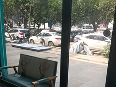 -博特宠物医院24h犬猫全科.骨科·异宠
