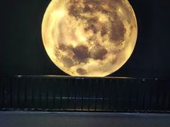 -祥源·阜阳生态乐园