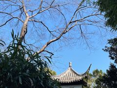 -秋霞圃