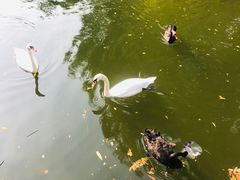 -长白岛森林公园