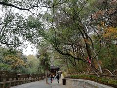 -灵岩山风景区
