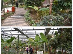 -陆地游轮吉林神农温泉