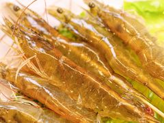 -御膳粥·牛乳粥底火锅·地道顺德菜(容桂店)