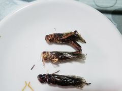 -金台阶鱼馆(于桥水库店)