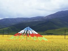 -青海湖国家重点风景名胜区