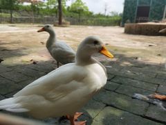 -长廊欢乐园