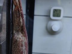 -酷以爬仙阁实体爬宠店·守宫·蜥蜴·专业繁育