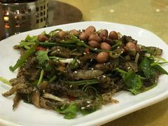 蛇皮-九大簋家宴(北京路店)