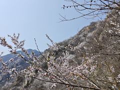 -北京凤凰岭