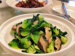 香菇炒青菜-二泉园老菜馆·百年无锡菜