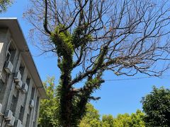 -福建师范大学(仓山校区)