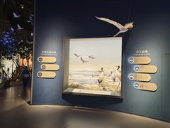 -中国湿地博物馆