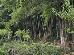 -水绘园