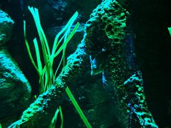 -沈阳海洋探索中心