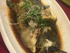 -华兴大酒楼(亿宝大厦店)