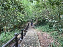 -上海佘山国家森林公园天马山园