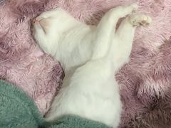 -佳雯宠物医院(金华南路分院)